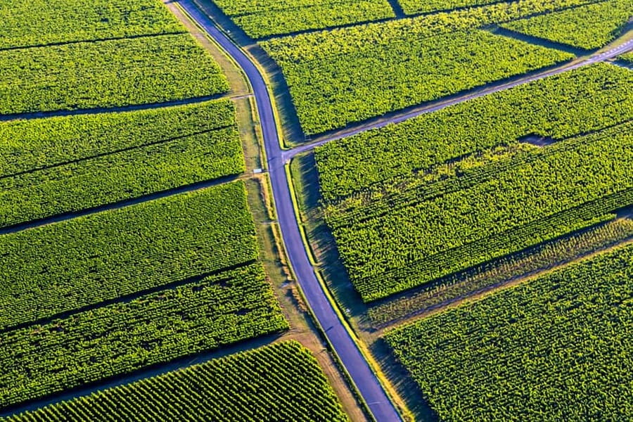 Bordeaux: Panoramic flight over vineyards and castles - Booking flexibility and timing