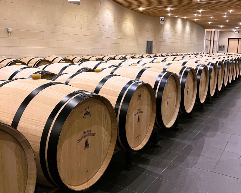 Bordeaux: St-Emilion Vineyards e-Bike Tour with Wine & Lunch - Key points at a glance