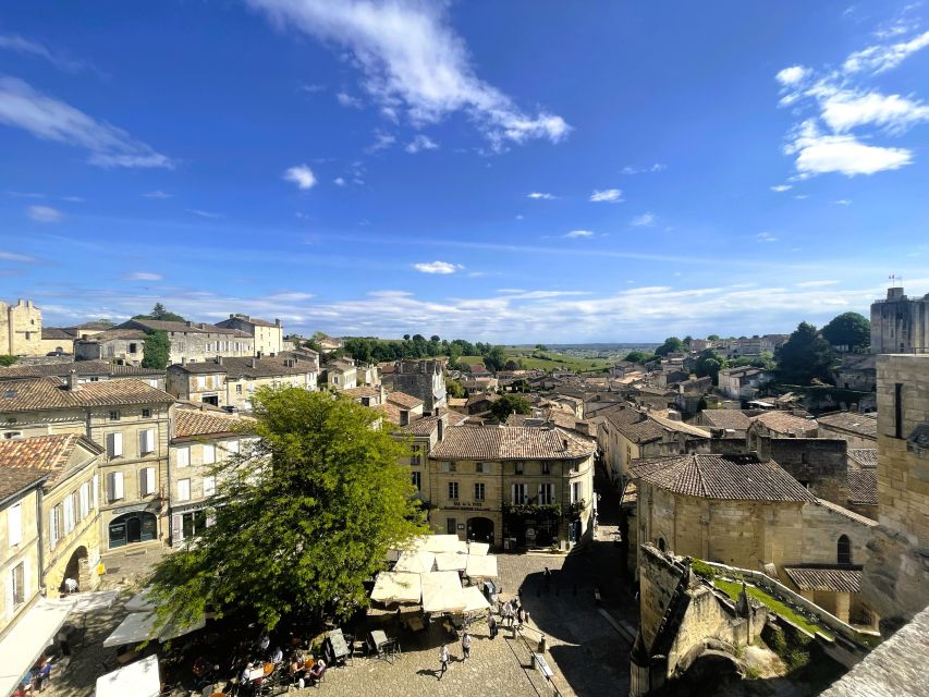 Bordeaux: St-Emilion Vineyards e-Bike Tour with Wine & Lunch - Pedaling past famous wine estates