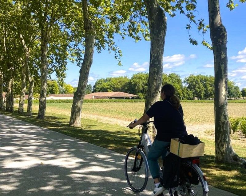 Bordeaux: St-Emilion Vineyards e-Bike Tour with Wine & Lunch - What the $222 price includes