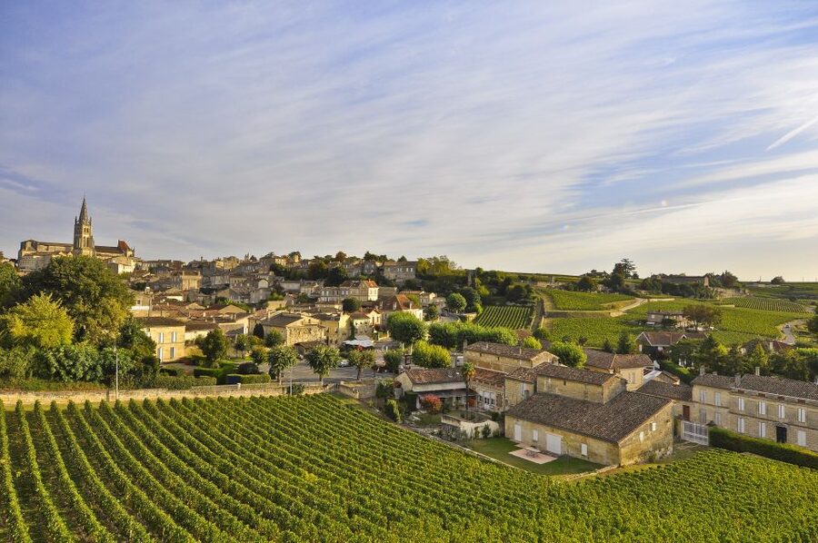 Bordeaux: Vineyards Wine Tasting Half-Day Trip - Entre-deux-Mers: A Smaller-Scale Look at Bordeaux