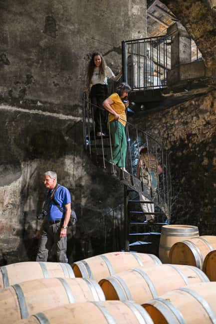 Bordeaux: Vineyards Wine Tasting Half-Day Trip - The Coach Ride and Guide Style