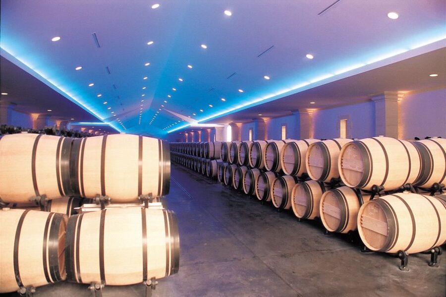 Bordeaux: Vineyards Wine Tasting Half-Day Trip - Is $68 Good Value?