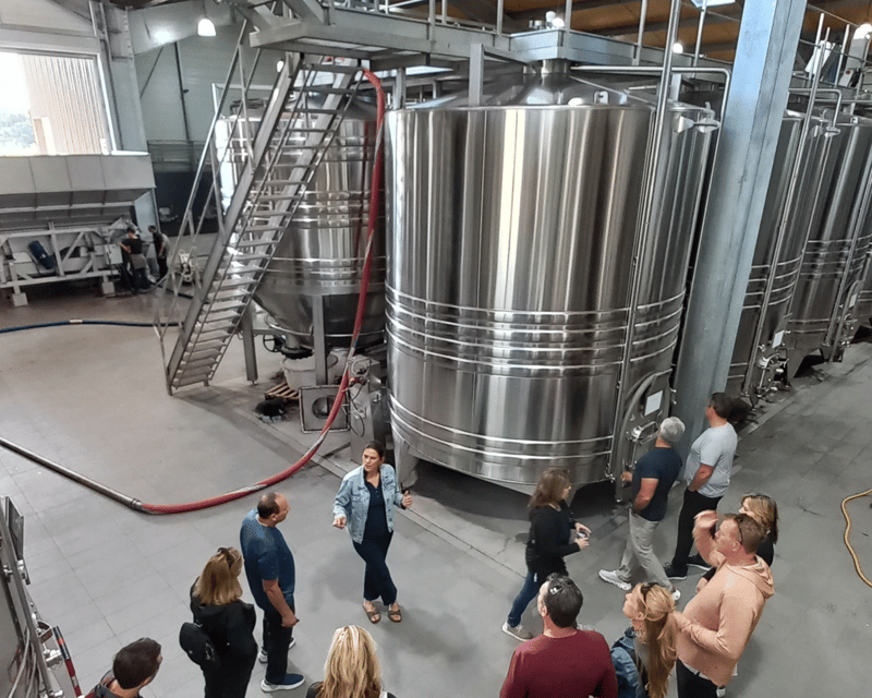Bordeaux wine tour: 2 wineries & wine tastings (red & white) - Second stop: tasting the variety of Entre-deux-Mers