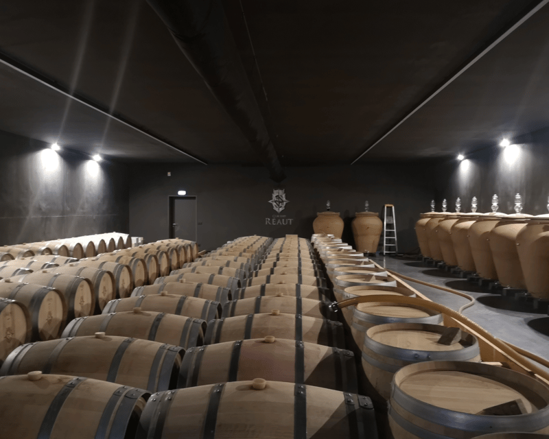 Bordeaux wine tour: 2 wineries & wine tastings (red & white) - The guide makes the difference