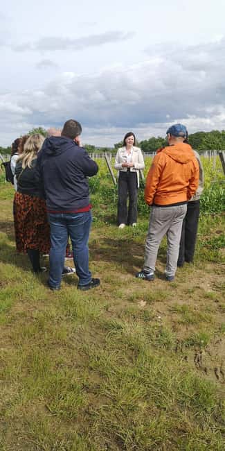 Bordeaux wine tour: 2 wineries & wine tastings (red & white) - First stop: organic wine in Pessac-Léognan