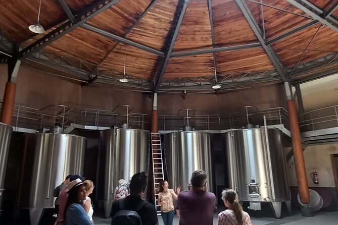 Bordeaux wine tour off the beaten path (red & white wines) - Red and white wine tasting, not just Bordeaux reds