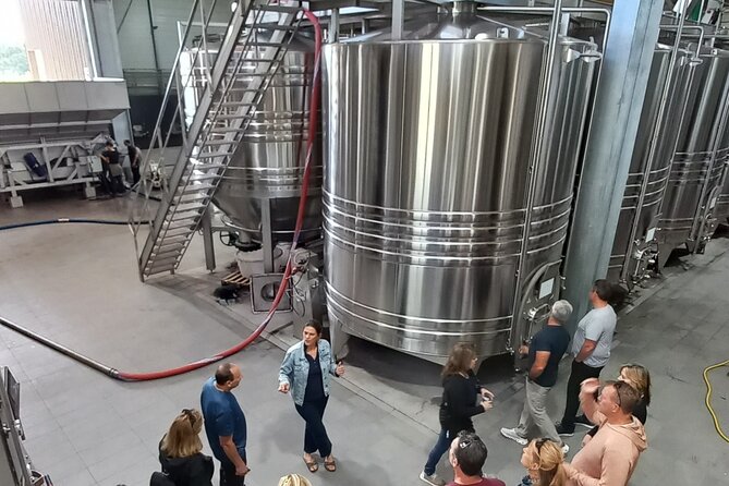 Bordeaux wine tour off the beaten path (red & white wines) - Who will enjoy this Bordeaux wine tour?