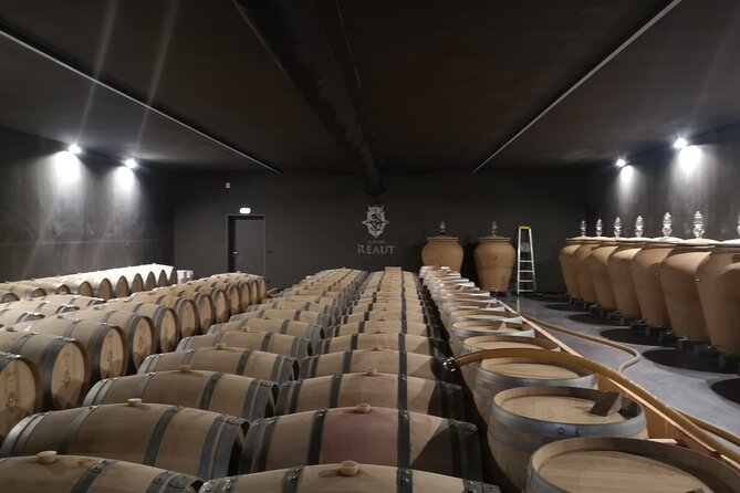 Bordeaux wine tour off the beaten path (red & white wines) - Should you book this tour?