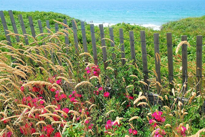 Boston to Martha's Vineyard Day Trip with Optional Island Tour - Aquinnah and Gay Head Cliffs