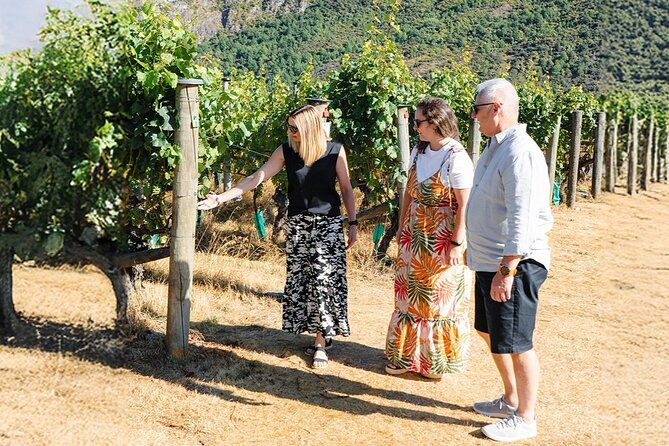 Boutique Wine Tour - visit Central Otago, 4 Wineries & Lunch - A short walk through Old Cromwell