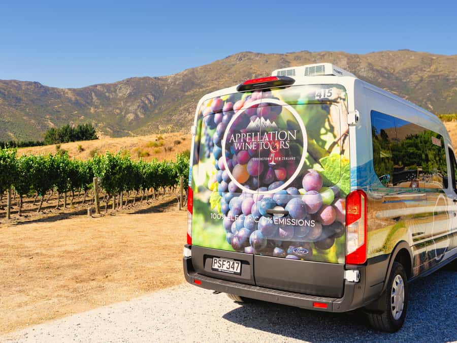 Boutique Winery Half-Day Tour & Vineyard Platter-Style Lunch - Who should book this outing