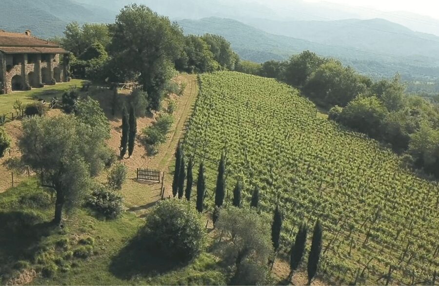 Boutique Winery Tour & Tasting in North Tuscany - A Country Winery Between La Spezia and Massa
