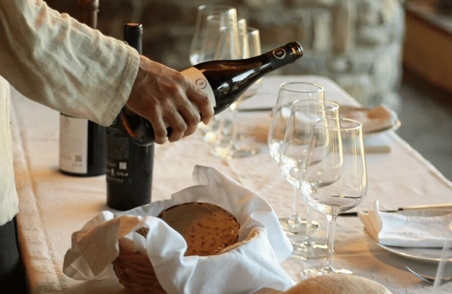 Boutique Winery Tour & Tasting in North Tuscany - What Happens During the 90-Minute Visit