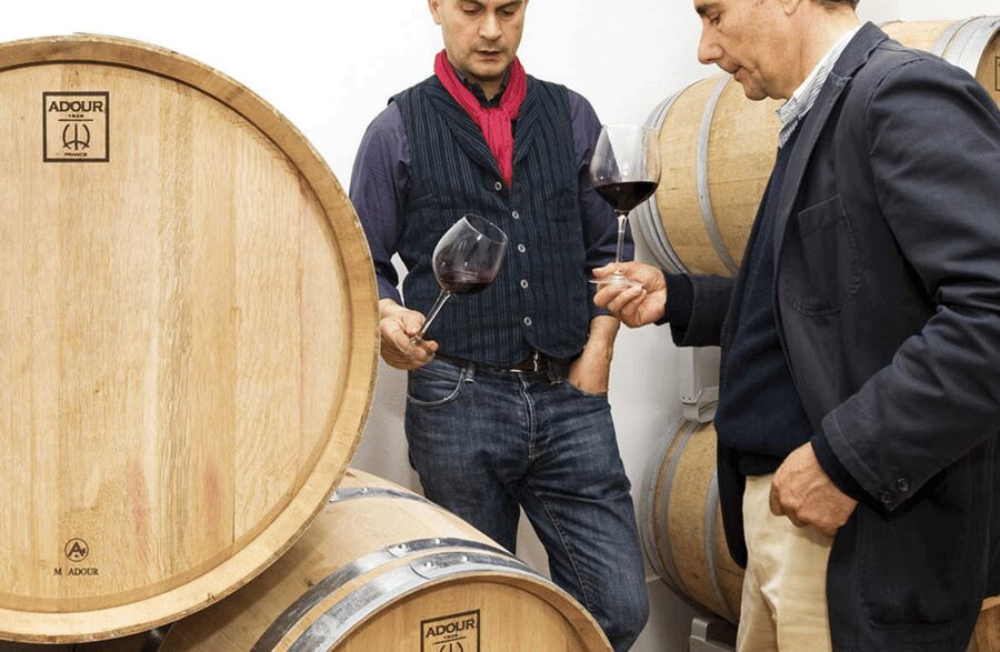 Boutique Winery Tour & Tasting in North Tuscany - Cheese and Ham Make the Tasting More Useful