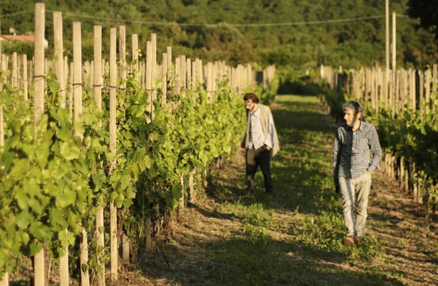 Boutique Winery Tour & Tasting in North Tuscany - Why the Family Story Matters
