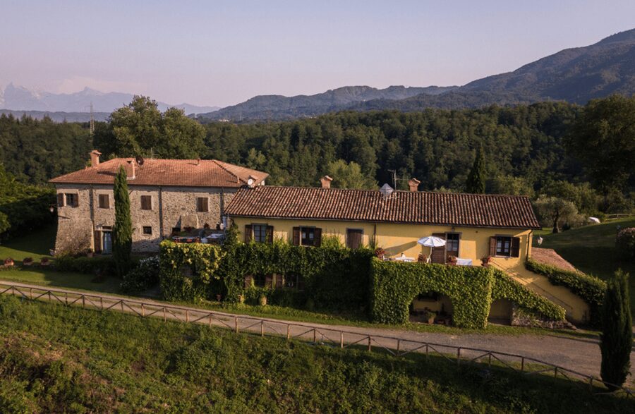 Boutique Winery Tour & Tasting in North Tuscany - The Four Wines in Your Glass