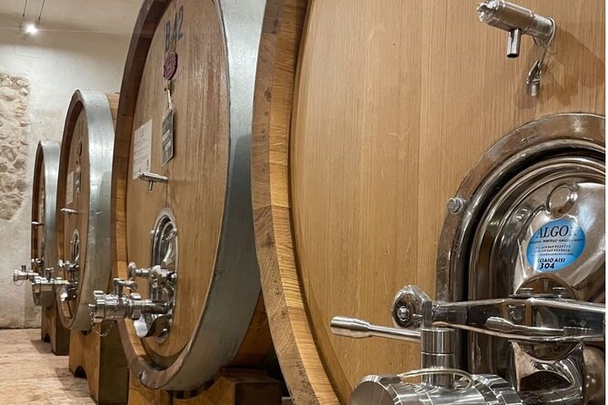 Boutique Winery Tour & Tasting in Valpolicella - Should you book Cantina Montecariano?