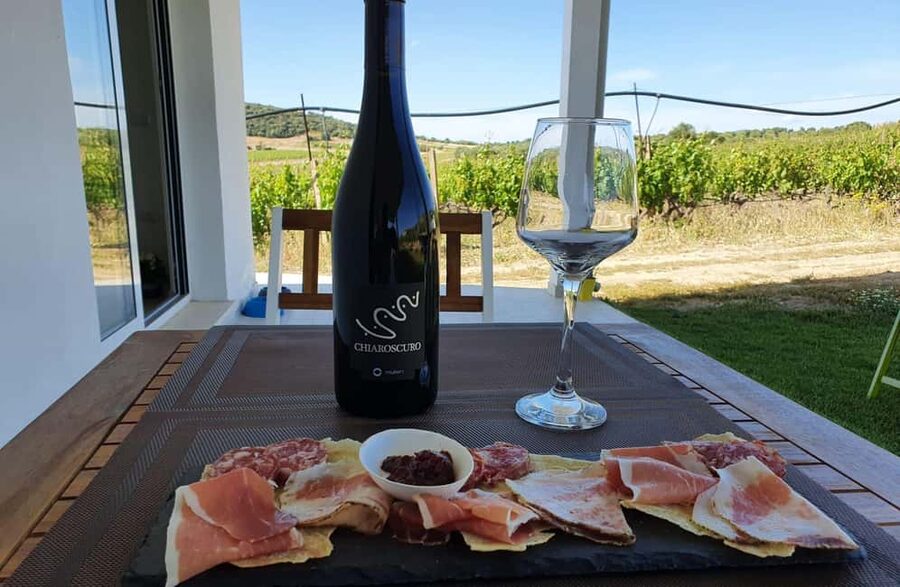 Boutique Winery Tour with Wine & Food Tasting near Cagliari - Starting at Cantina Mulleri, Tenuta Chiaroscuro