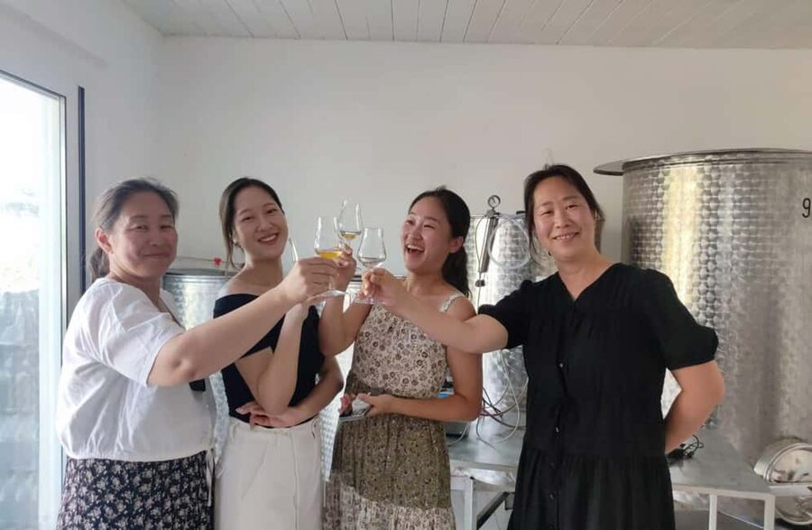 Boutique Winery Tour with Wine & Food Tasting near Cagliari - Is $60 a fair price?
