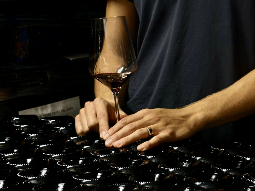 Boutique Winery Tour with Wine Tasting & Food in Bologna - Walking among Sauvignon, Pignoletto, and Merlot vines