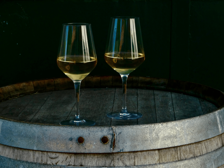 Boutique Winery Tour with Wine Tasting & Food in Bologna - Getting there from Bologna