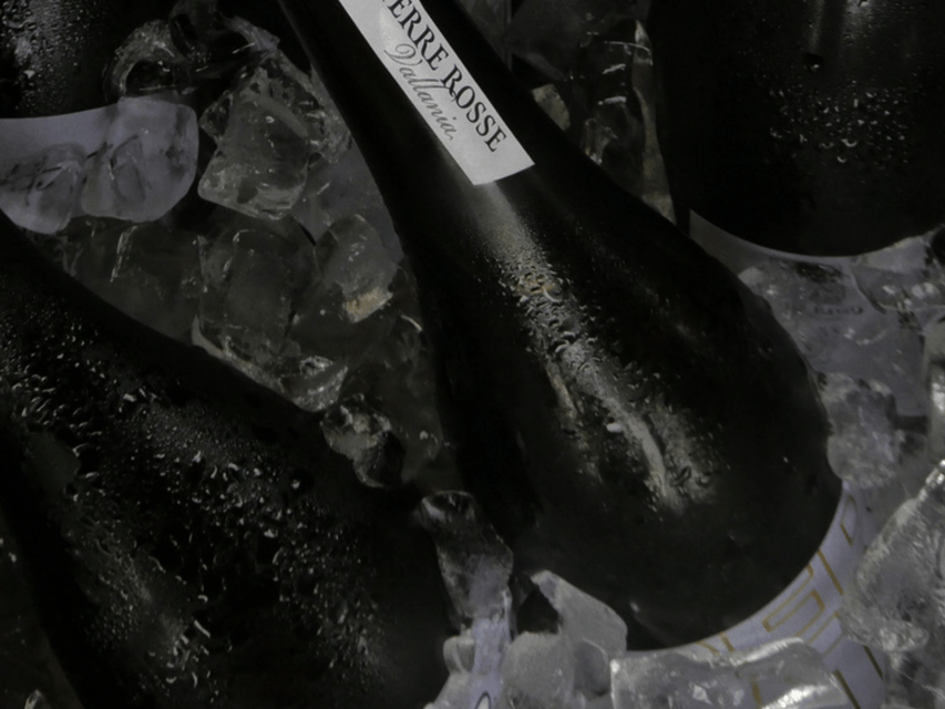 Boutique Winery Tour with Wine Tasting & Food in Bologna - Price, timing, and overall value