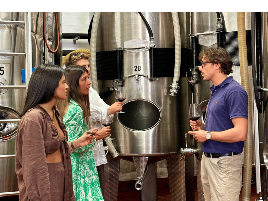 Boutique Winery Tour with Wine Tasting & Food in Bologna - The 15-minute winery introduction