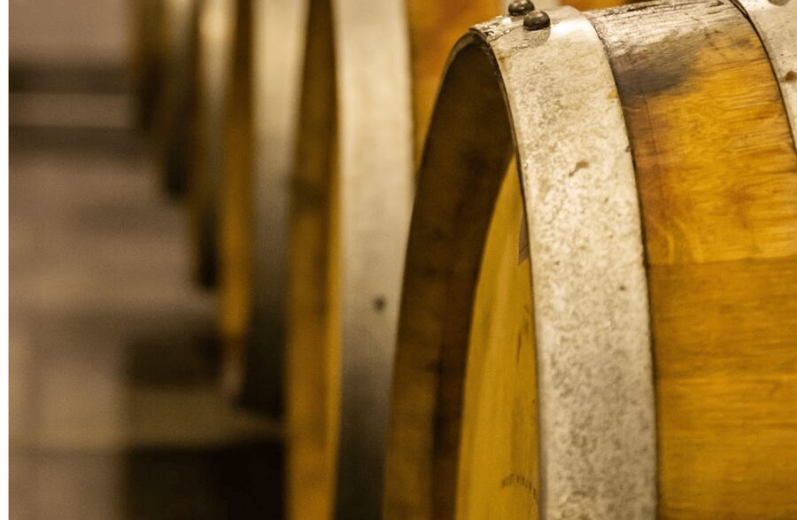 Boutique Winery Visit & Tasting near Rome - Who will enjoy this visit most
