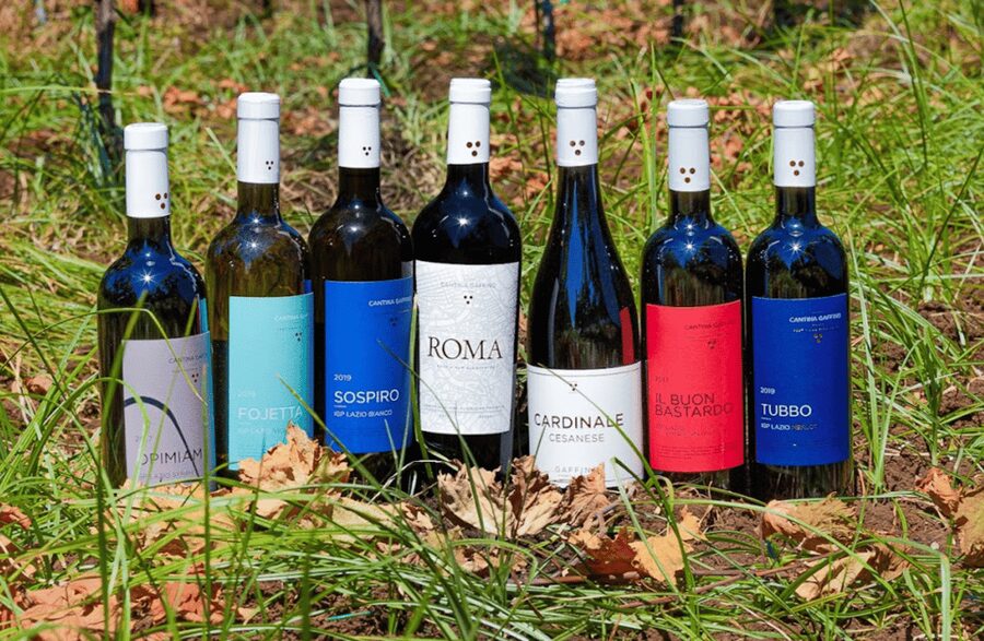 Boutique Winery Visit & Tasting near Rome - Useful details before you book