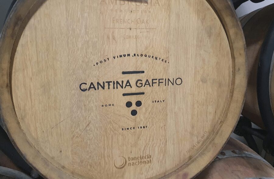 Boutique Winery Visit & Tasting near Rome - A 10-minute walk through volcanic soil and old grape-growing country