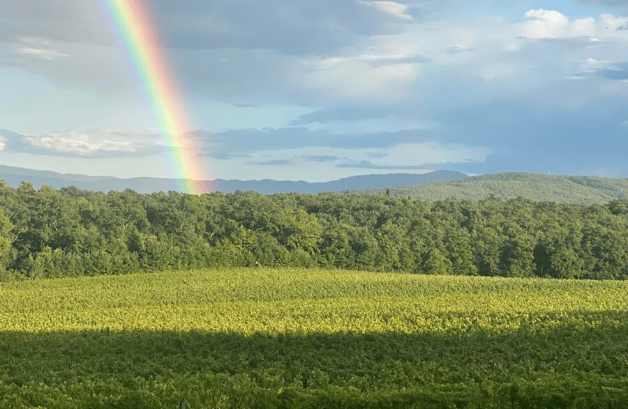 Boutique Winery Visit & Wine Tasting near Arezzo - FAQ
