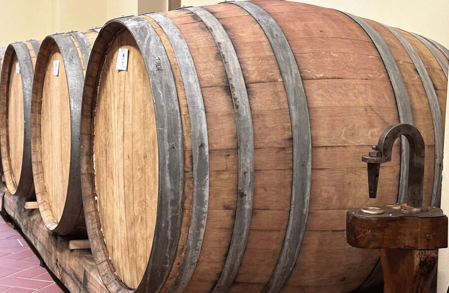 Boutique Winery Visit & Wine Tasting near Arezzo - A small winery stop in the hills near Arezzo