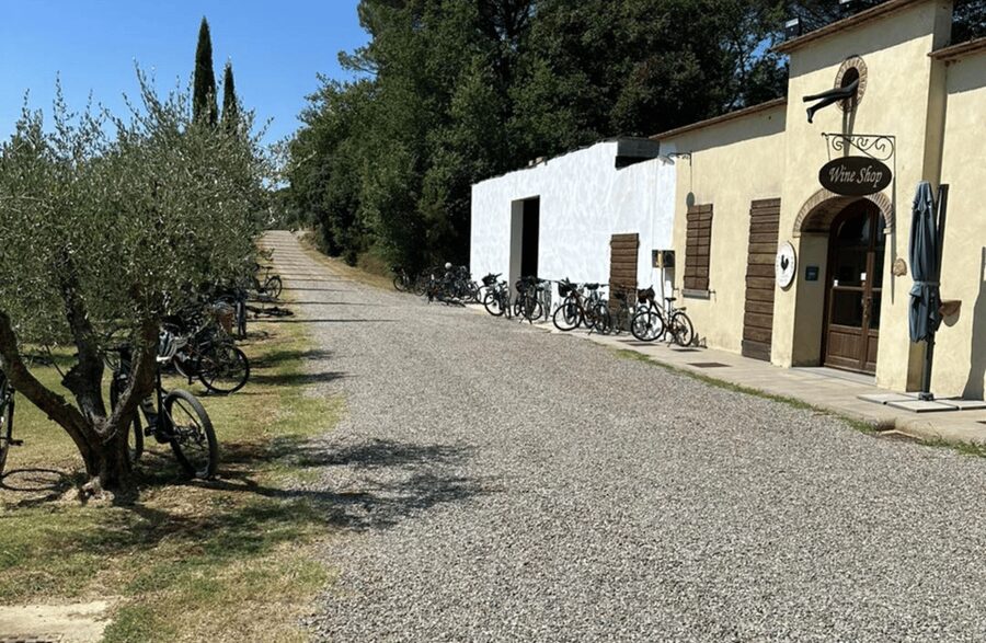 Boutique Winery Visit & Wine Tasting near Arezzo - Three wines with Tuscan olive oil