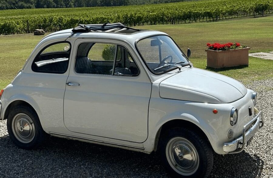 Boutique Winery Visit & Wine Tasting near Arezzo - Is $41 good value for one hour?