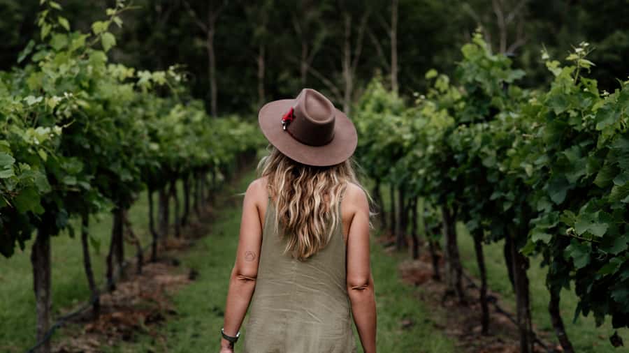 Brisbane: Boutique Winery Tour with Gourmet Lunch - Cedar Creek Estate and a two-course winery lunch