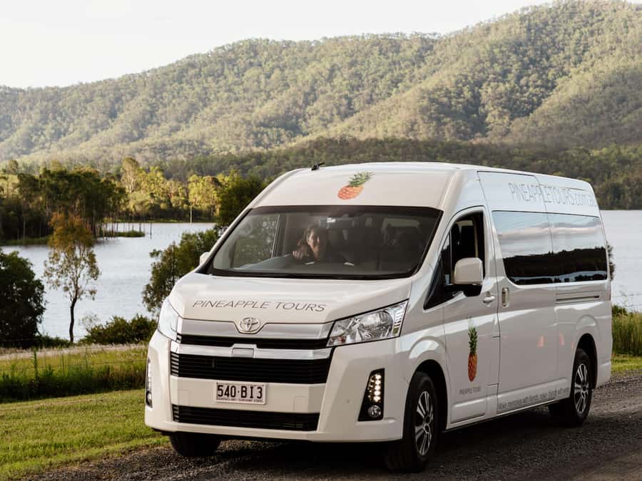 Brisbane: Boutique Winery Tour with Gourmet Lunch - What the guides add to the day