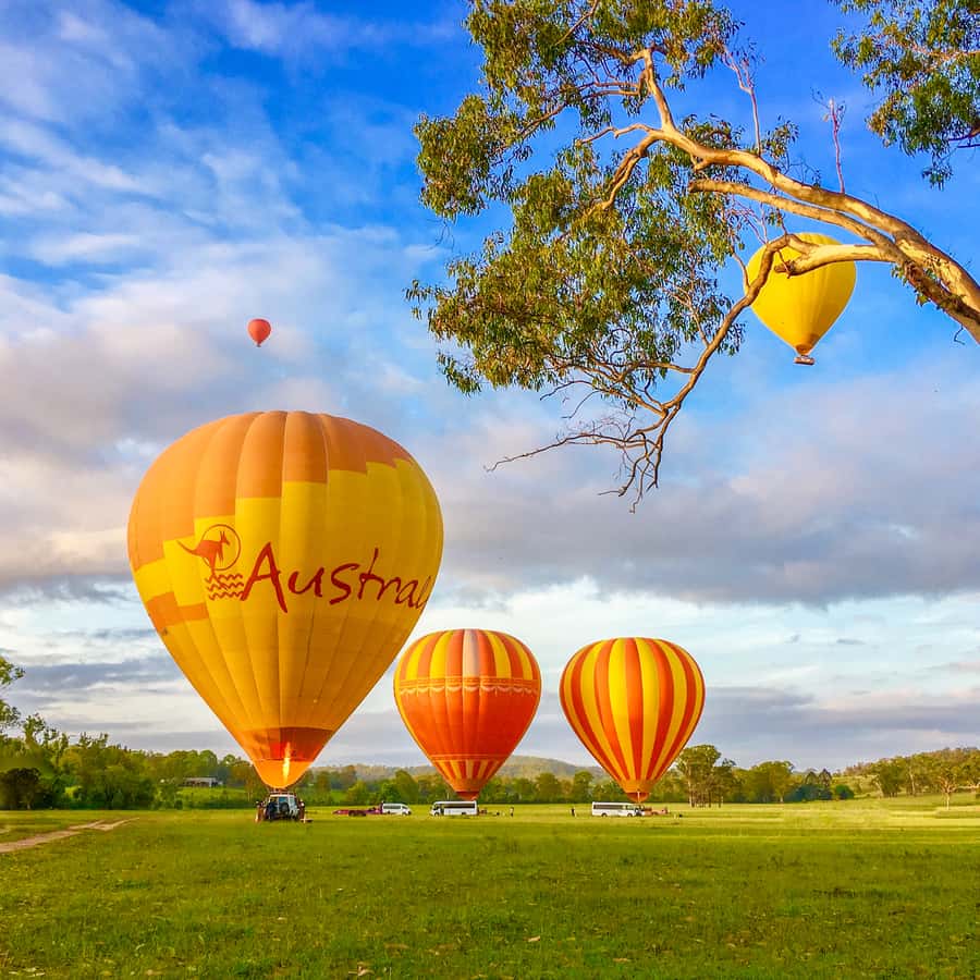 Brisbane: Hot Air Balloon Flight with Vineyard Breakfast - Should you book the Brisbane hot air balloon flight?