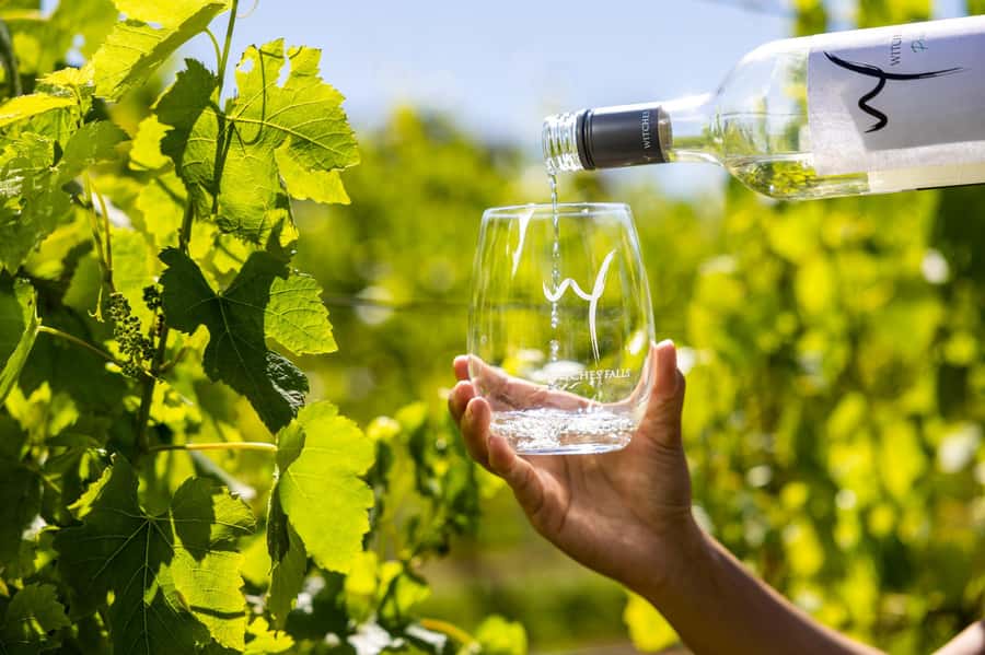 Brisbane: Premium Winery Tour with Gourmet Lunch - A short scenic run through Tamborine Mountain