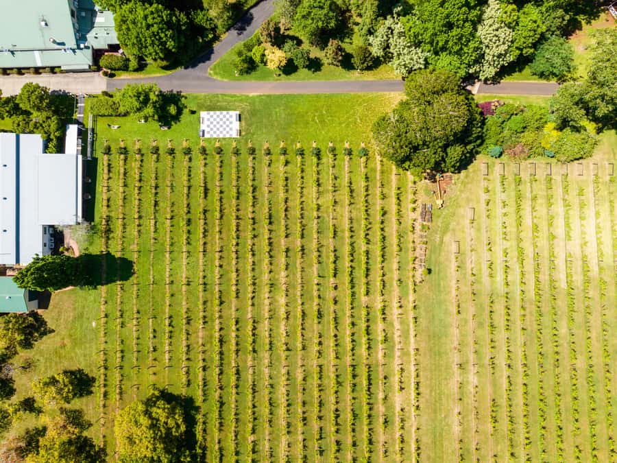 Brisbane: Tamborine Mountain Local Winery Tour with Lunch - How long the day really takes
