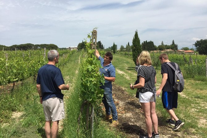 Brunello di Montalcino, small biodynamic wineries - Why Montalcino makes a better wine day than a quick tasting