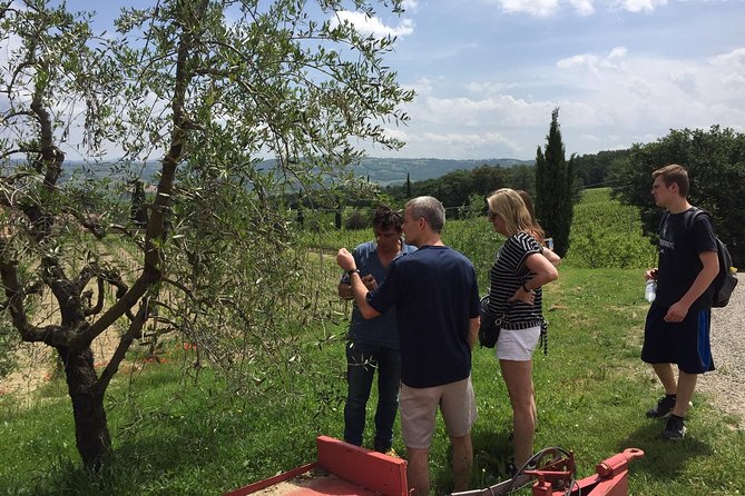 Brunello di Montalcino, small biodynamic wineries - Fortezza di Montalcino in 15 minutes