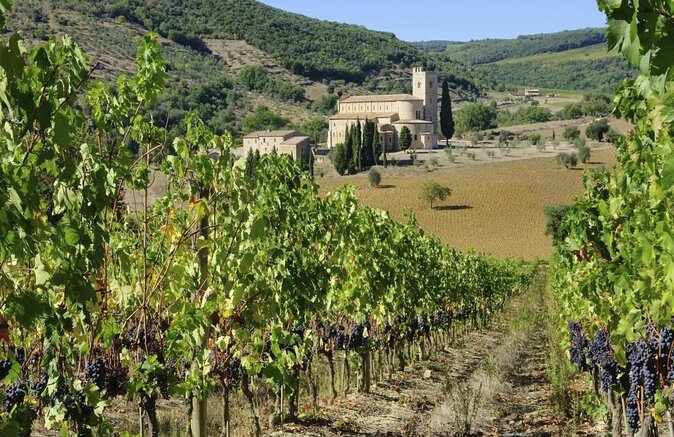Brunello di Montalcino Wine Tour of 2 Wineries with Pairing Lunch - Key points to know before booking