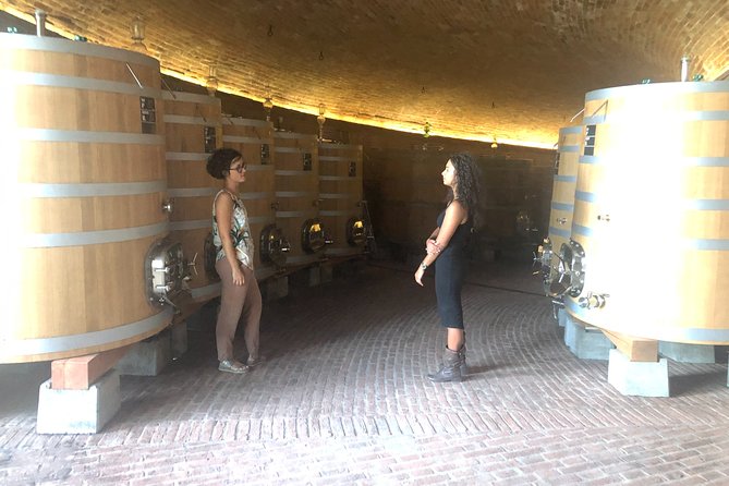 Brunello di Montalcino Wine Tour of 2 Wineries with Pairing Lunch - Why Brunello country is worth a full day