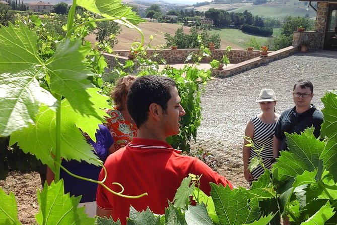 Brunello Vineyards Bus Tour - Nadia and the value of a local guide