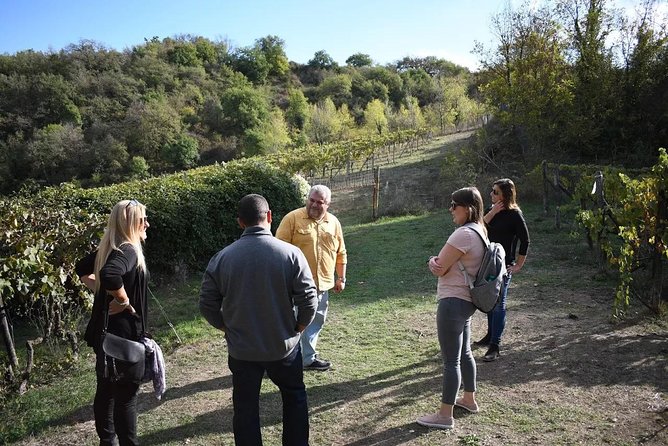 Brunello Vineyards Bus Tour - Is $216.74 a fair price?