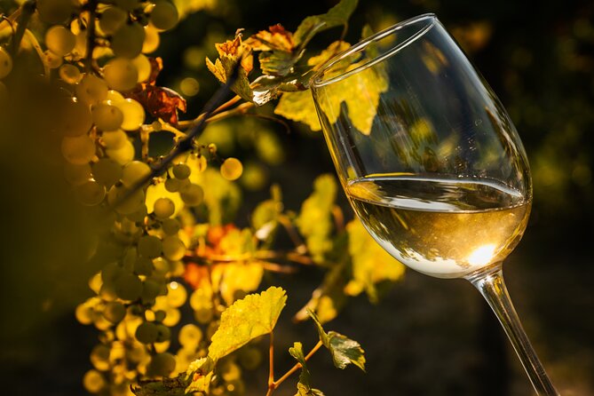 Budapest Half-Day Wine Tour: 3 Family Wineries, Meal & Pálinka - What the 12 to 15 wines tell you about Etyek