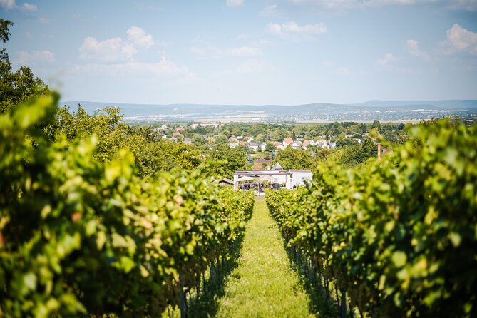 Budapest Half-Day Wine Tour: 3 Family Wineries, Meal & Pálinka - Value: what is included and what is not