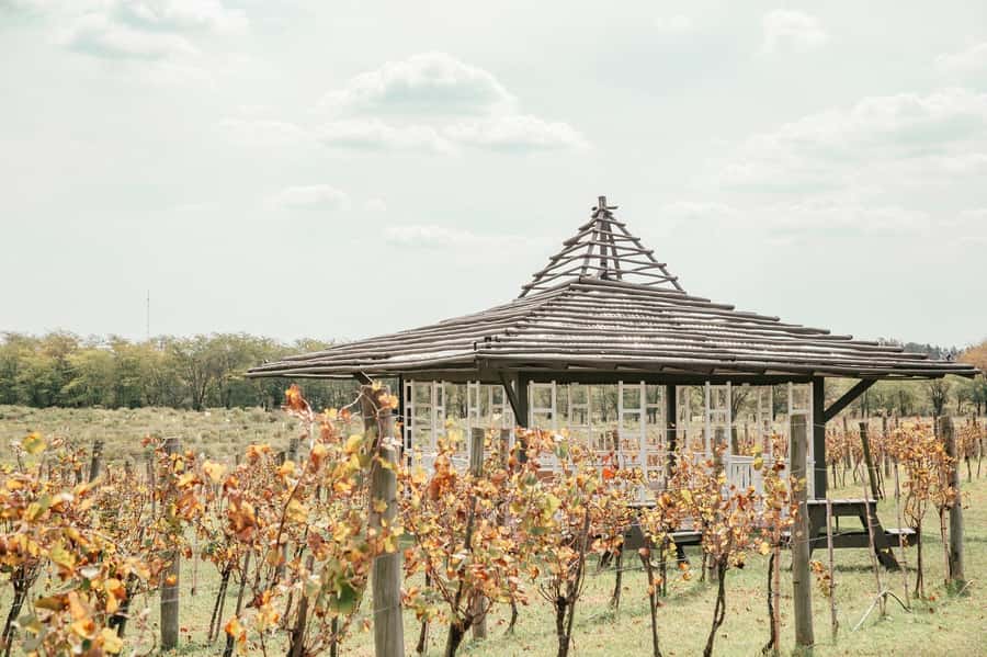 Buenos Aires: Lunch and Wine Tasting at Bodega Gamboa - Is $180 a fair price?