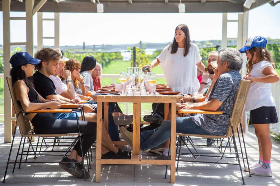 Buenos Aires: Lunch and Wine Tasting at Bodega Gamboa - Why Bodega Gamboa makes sense as a day trip